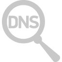 DNS record verification service