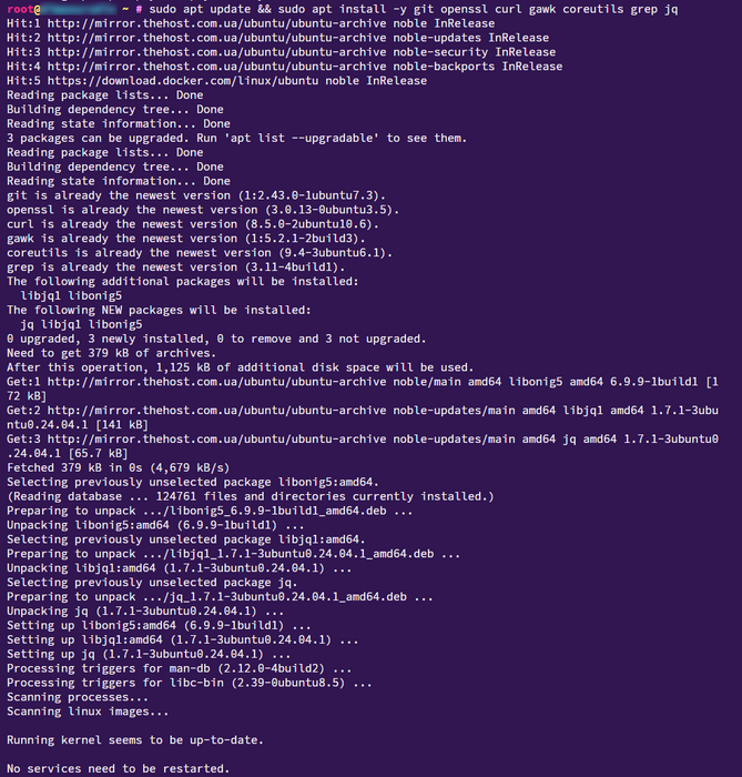 sudo_apt